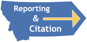 reporting citation